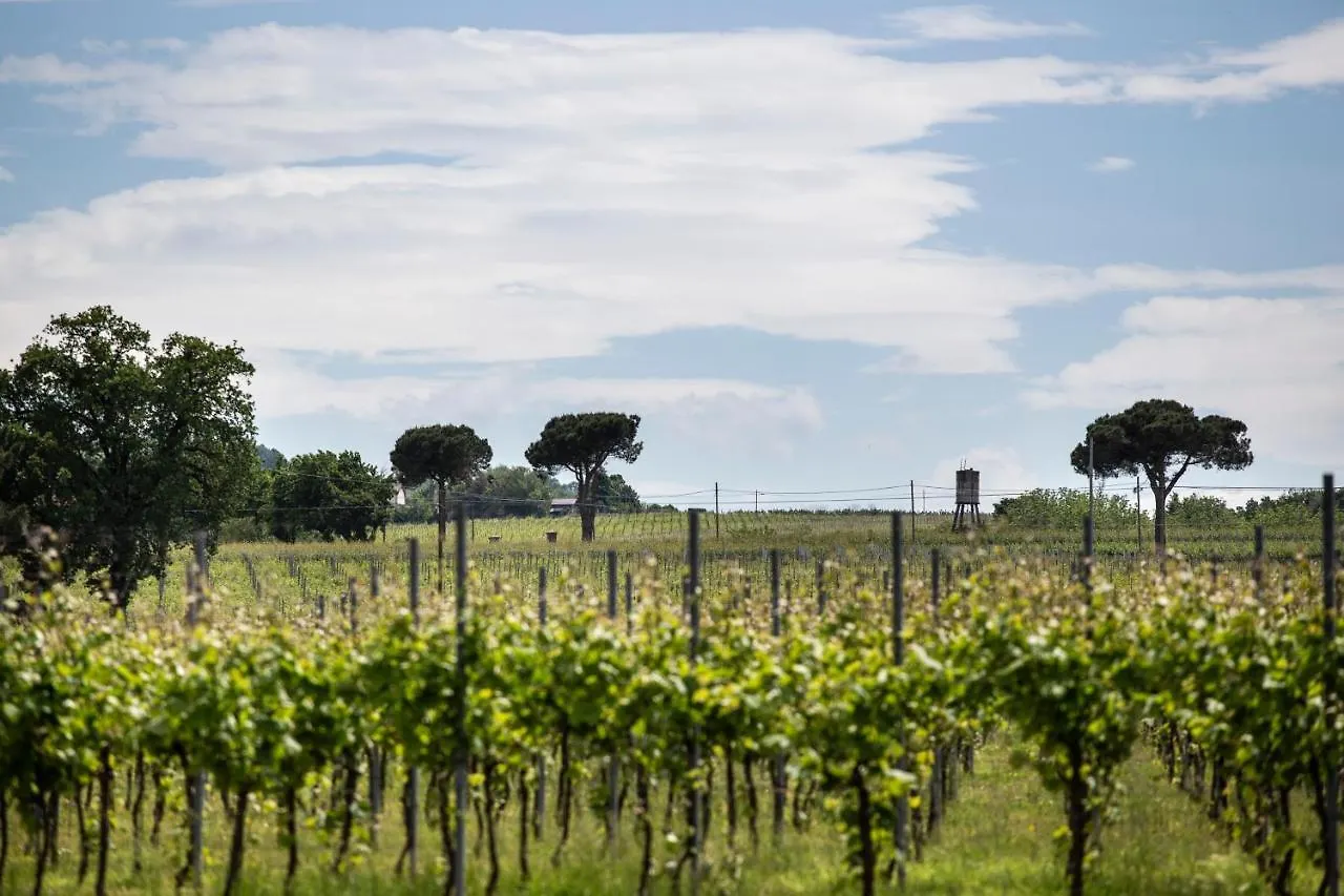 Country house Agriturismo Trere Faenza
