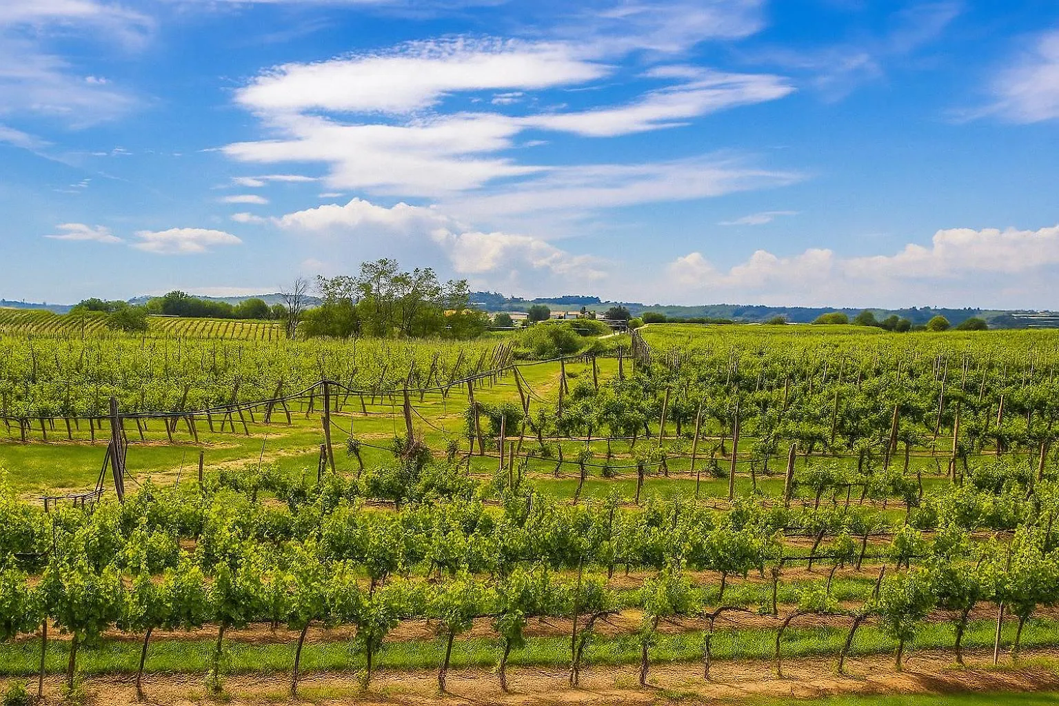 Agriturismo Trere Faenza 0*,  İtalya